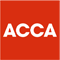 cae logo2
