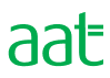 cae logo5